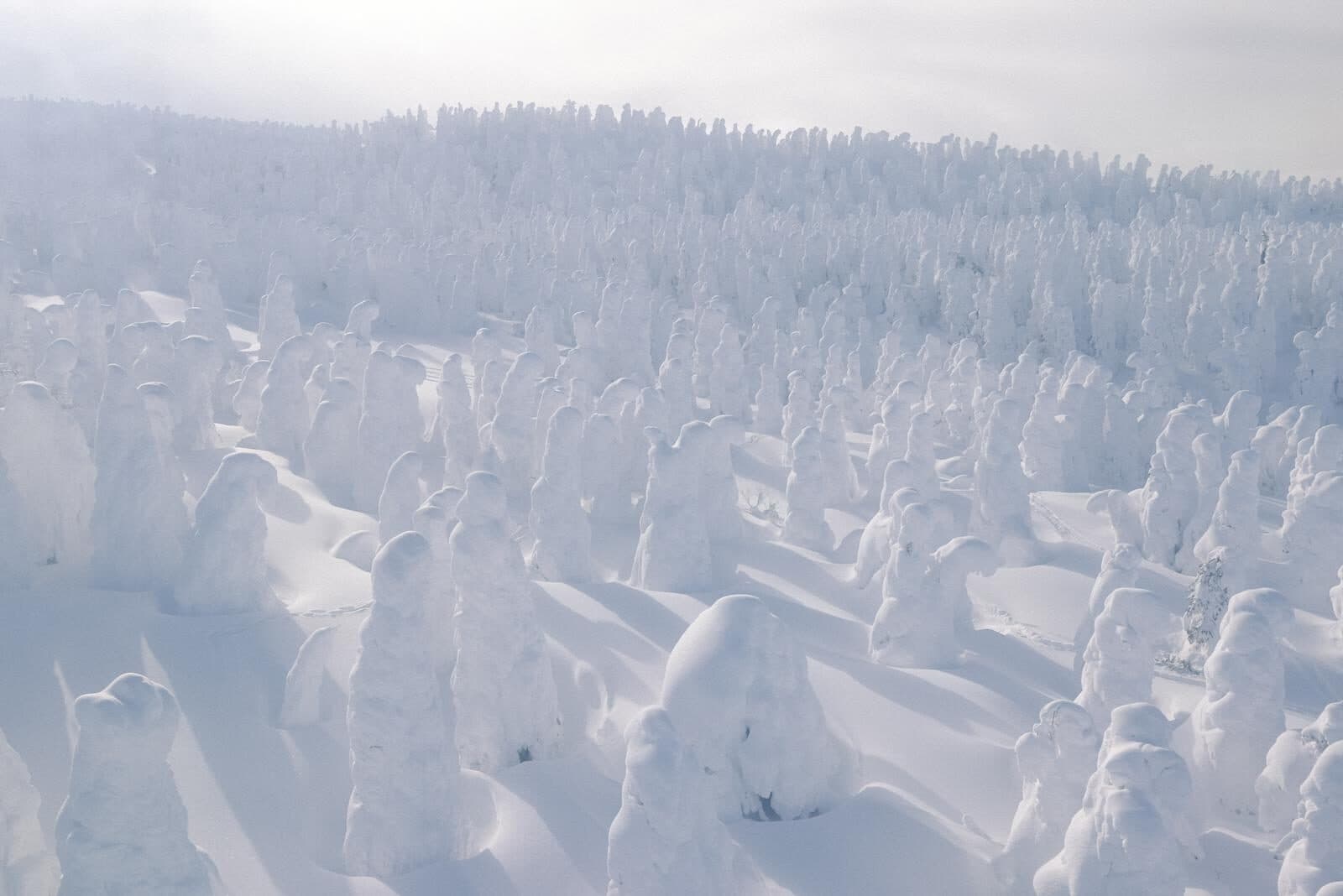 Yamagata / Zao